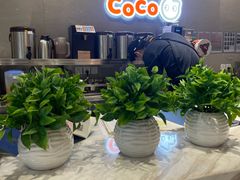 -CoCo都可(颐高区店)