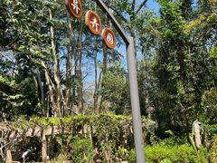 -中国科学院西双版纳热带植物园