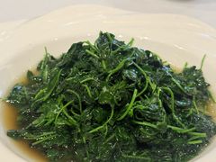 -新雅粤菜馆(南京东路店)