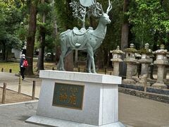 -奈良公园