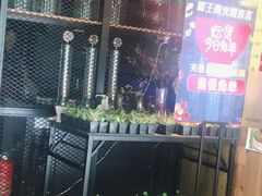 -腰子哥烤串(石佛营炫特店)