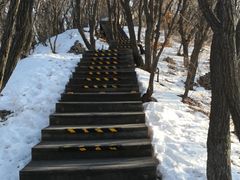 -帽儿山国家森林公园