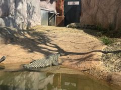 -武汉动物园