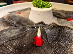 -一斗火锅·招财羊毛肚(泰吉滨江店)