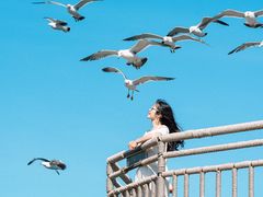 -海驴岛(荣成市)