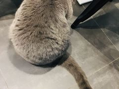 -乐果甜心·潮汕冰室(南澳后宅分店)