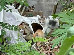 -北马山庄植趣咖啡