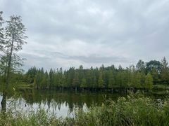 -白鹭湾湿地公园