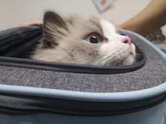 -达爱动物医院·犬猫分区·CT·复杂眼科(远洋山水分院)