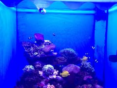 -多彩贵州城极地海洋世界