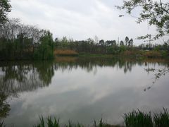 -白鹭湾湿地公园