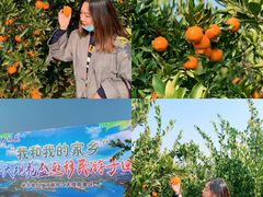 -丹江大观苑