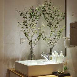 -净漪造型 PURE RIPPLE