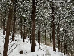 -云龙山