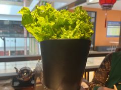 -九田家黑牛烤肉料理(新辰里亚运村店)