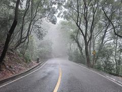 -岳麓山风景名胜区