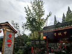 -青城甲(青城山店)