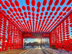 -南宫五洲植物乐园