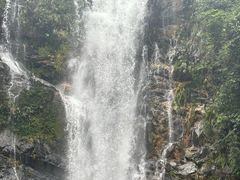 -鼎湖山风景区