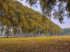 -河南省黄河迎宾馆