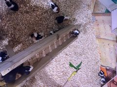 -正佳雨林生态植物园