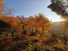 -塔川景区