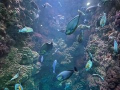 -海合安青岛极地海洋公园