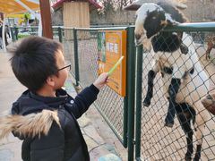 -塘沽森林公园