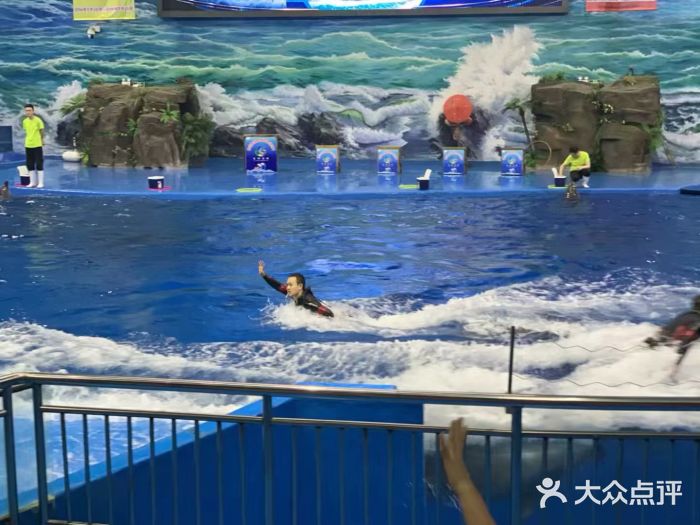 多彩贵州城极地海洋世界图片