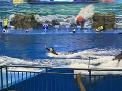 -多彩贵州城极地海洋世界