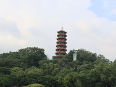-红花山公园