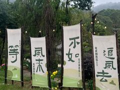 -白马涧龙池景区
