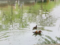 -星巴克(西湖天地店)