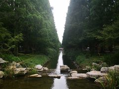 -东平国家森林公园