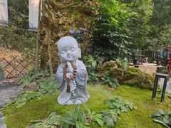 -深圳仙湖植物园