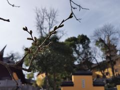 -鸡鸣寺