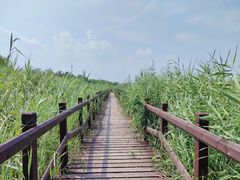 -西青郊野公园