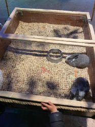 -酷嗒动物文化乐园(cutezoo西溪乐天城店)