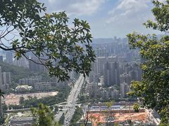 -板樟山森林公园