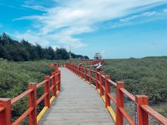 -北海金海湾红树林生态旅游区