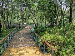 -西湖风景区-江洋畈生态公园