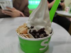 -Salud撒露欧洲冻酸奶(五道口购物中心店)