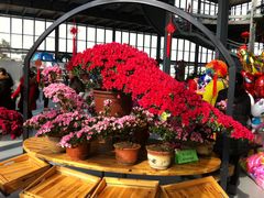 -南通洲际绿博园