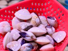 -巽寮印象美食部落餐厅·海鲜·地方特色菜(惠州体验店)