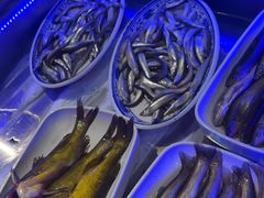 -人民公社大食堂(张家湾店)