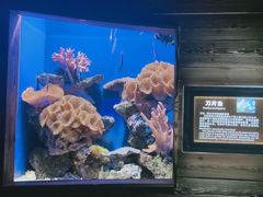 -南昌海洋公园