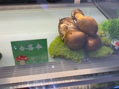 -一朵菌·野生菌探索家火锅(南亚店)