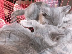 -第三空间·趣味桌游·轰趴.室内CS.剧本杀(大武汉1911店)