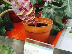 -龙达温泉生态城