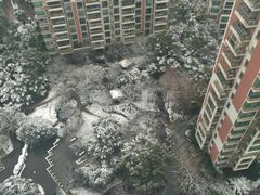 小区环境-世纪同乐绿地世纪城二期